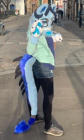 Cute pic Suit maker